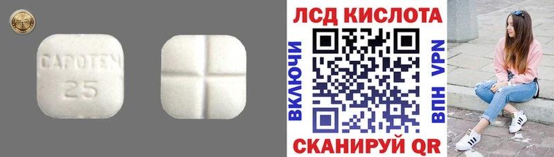 хочу   Гаджиево  ЛСД экстази кислота 