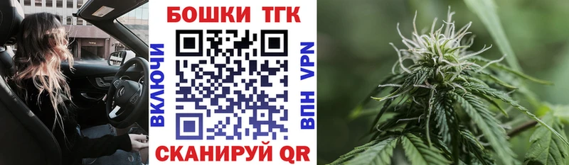 где купить наркоту  Гаджиево  Канабис планчик 
